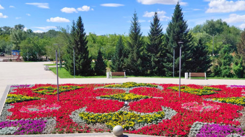 Для сайта  (11)