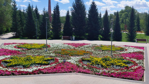 Для сайта  (10)