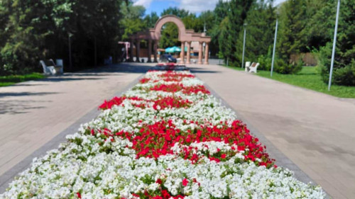Для сайта  (9)