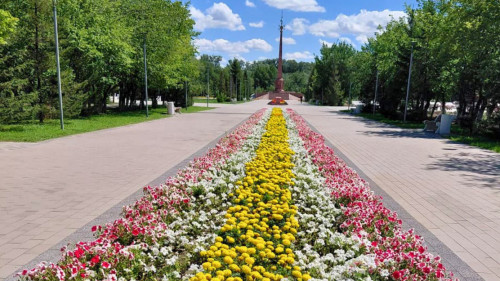 Для сайта  (6)