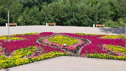 Для сайта  (3)