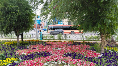 Для сайта  (2)