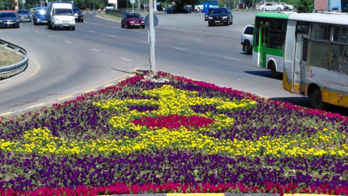 Для сайта 