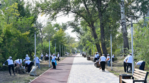 Лента новостей